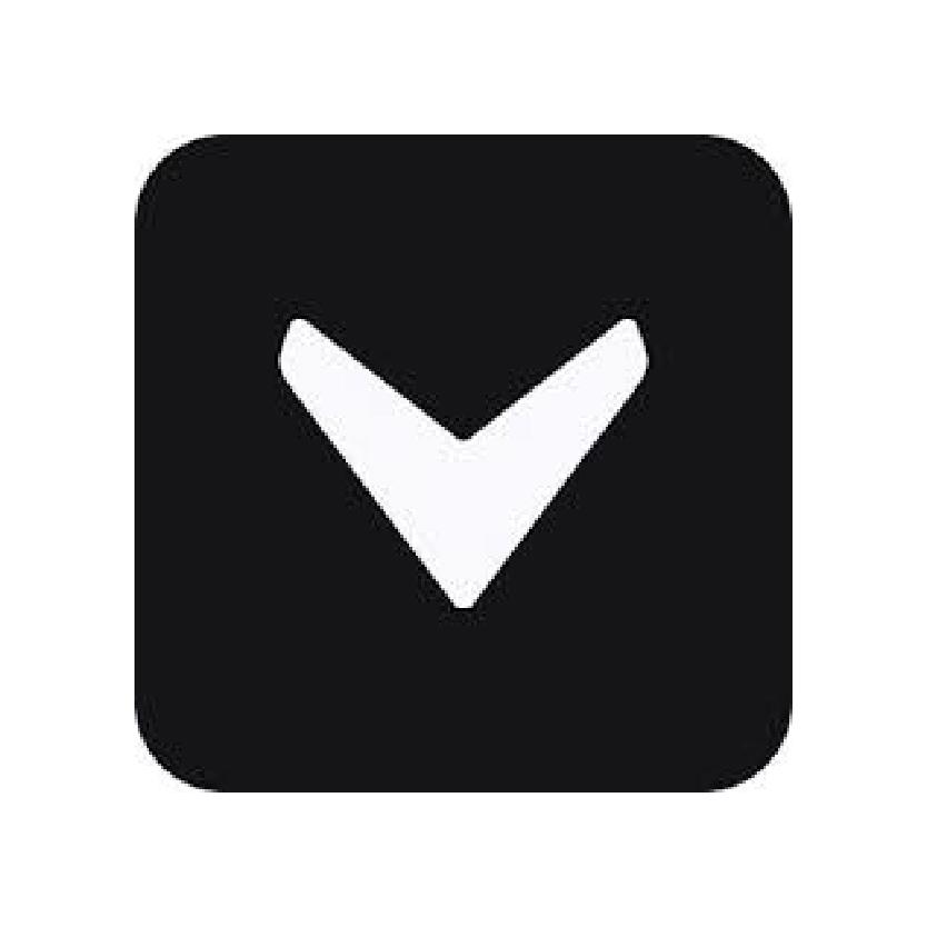 Vizcom logo